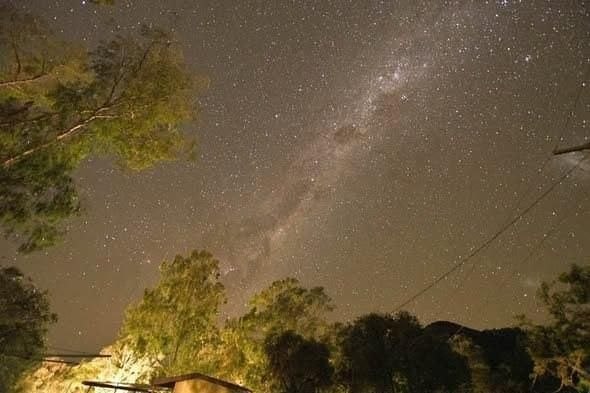 The Milky Way filling the night sky above the trees at Mount Seaview